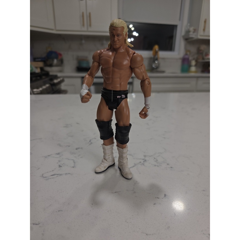 WWE WWF Dolph Ziggler Mattel Basic Series 51 Wrestling Figure Superstar 37